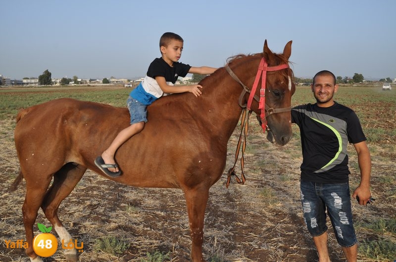 kheil sebaq (10).JPG